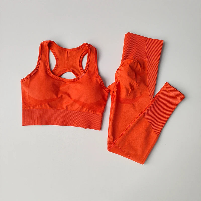 Conjunto de sutiã esportivo feminino 2 peças, sutiã profissional fitness